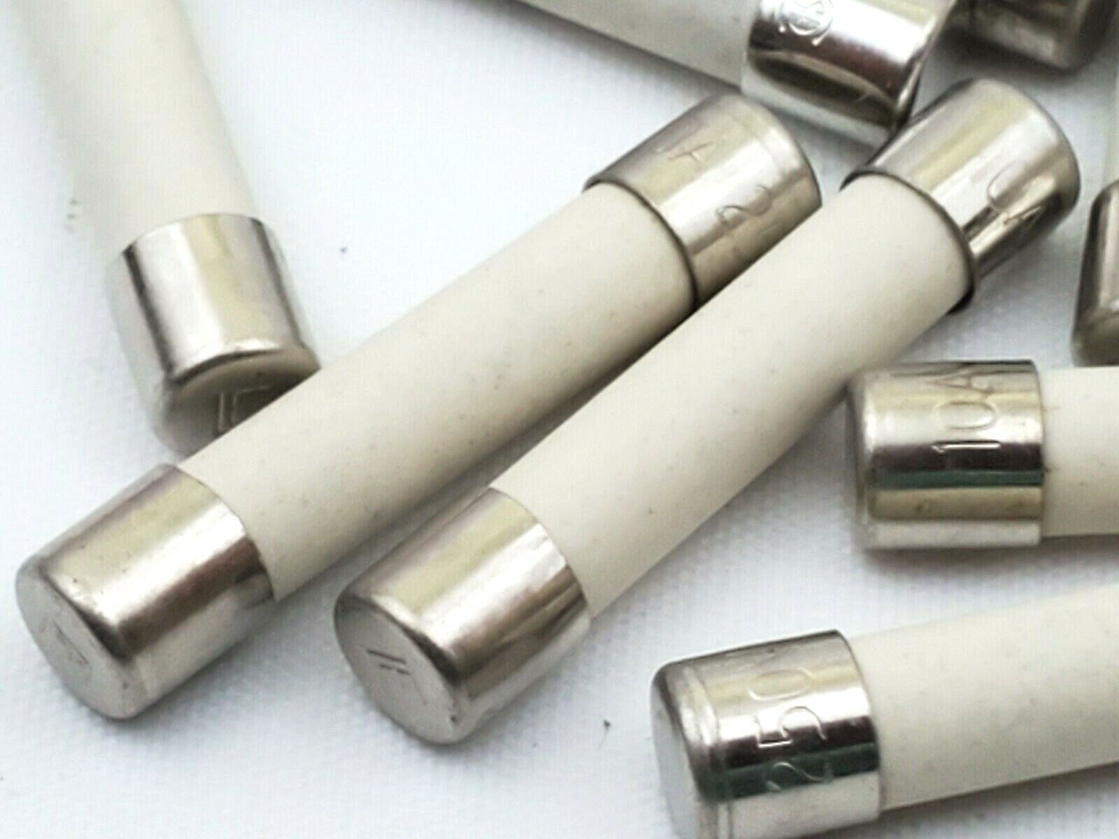 Lot of 10 Littelfuse 3AB 10A Fuses 10 Amp 250V Ceramic Fast Acting 1/4″ x 1-1/4″