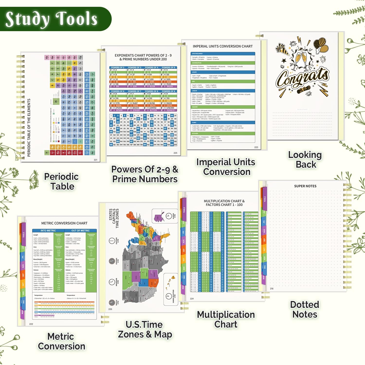 Jun 2025-Dec 2026 Academic Monthly Weekly Daily Planner for School, 19 Months…