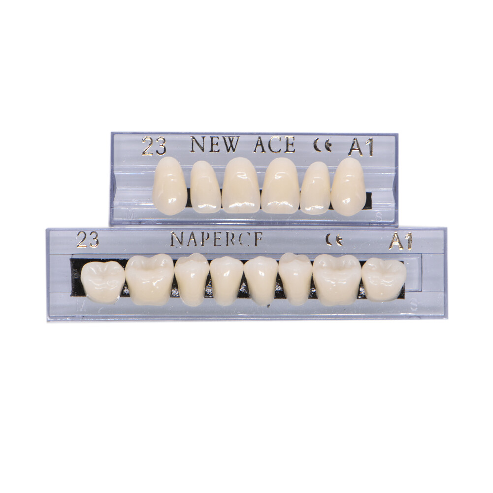 168Pc Dental Acrylic Resin False Teeth 23# Shade A1 Denture Full Upper Lower Set