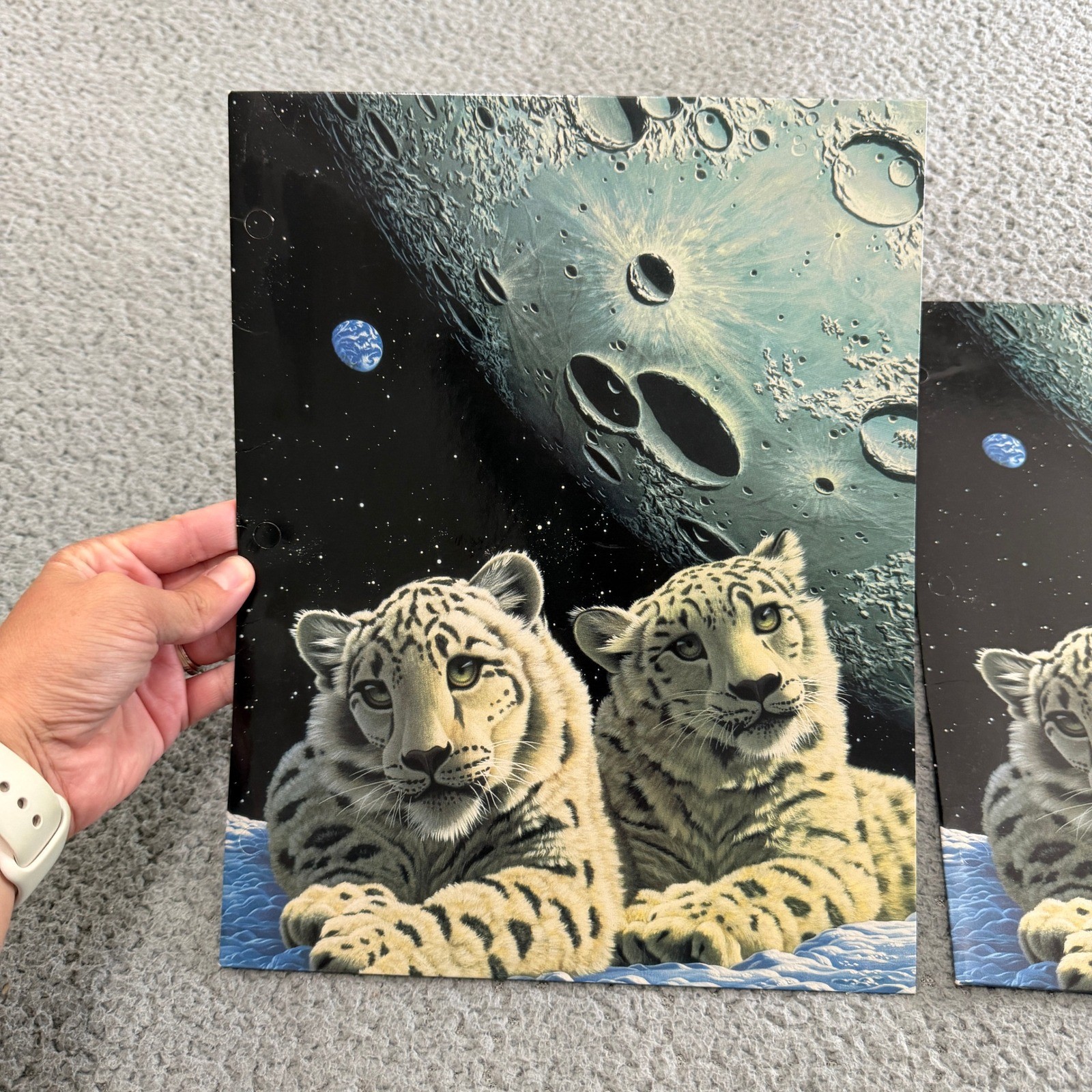 Vintage 1999 Mead Schimmel Snow Leopard Space Moon Portfolio Folders Set of 2