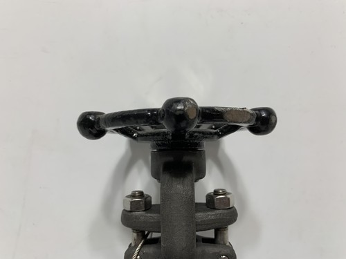 Warren 851-8-T-624 1/2″ Gate Valve CL800 A105N