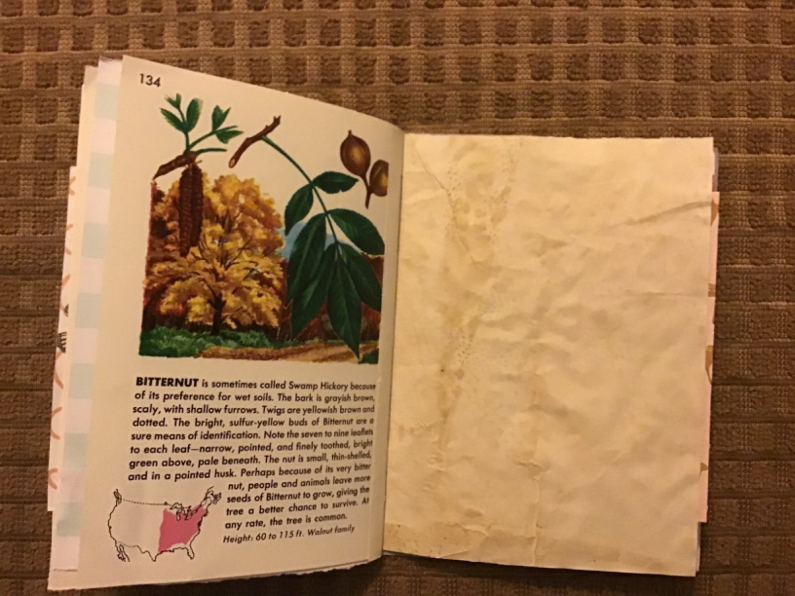 Handmade Naked Junk Journal 6” x 4.5” Mushroom Print Card Stock Cover