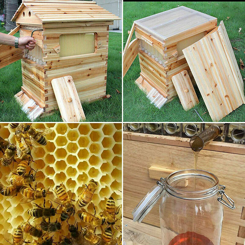 7Pcs Auto Seeping Honey Hive Beehive Frames + Beekeeping Wooden Cedarwood House