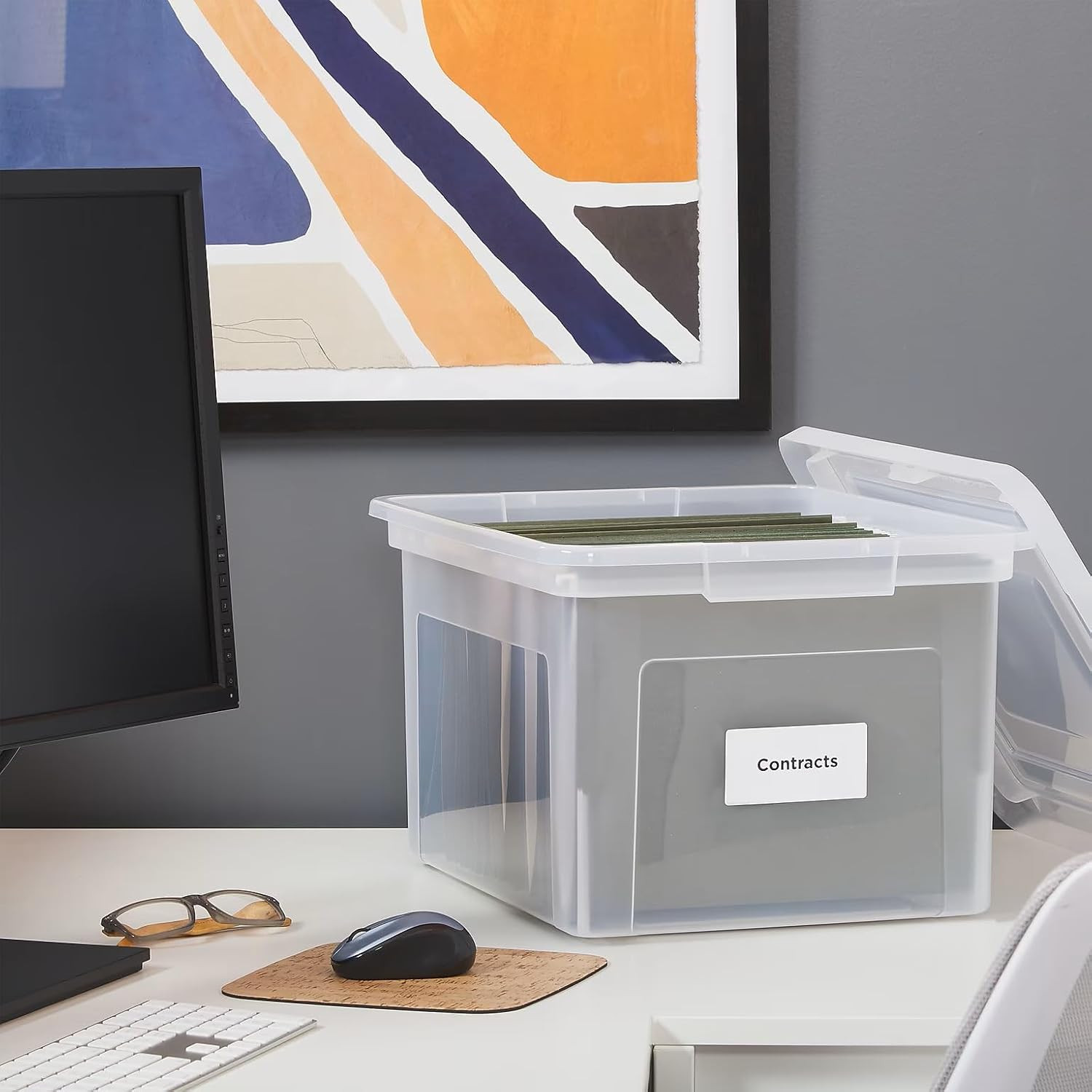 Plastic File Box with Snap Lid, Letter/Legal Size, Clear, 4/Carton | Stackable S