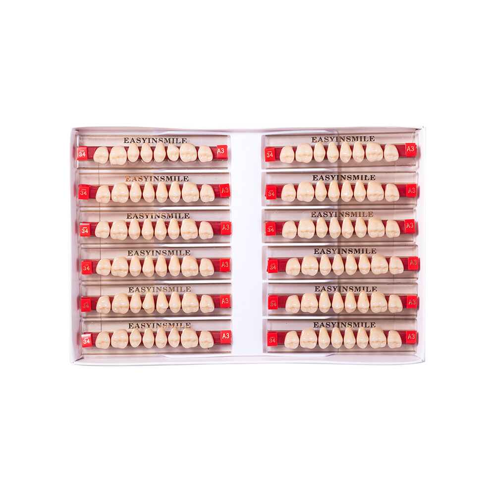 Dental Acrylic Resin Denture Teeth False DIY Full Set Anterior Posterior A1A2A3