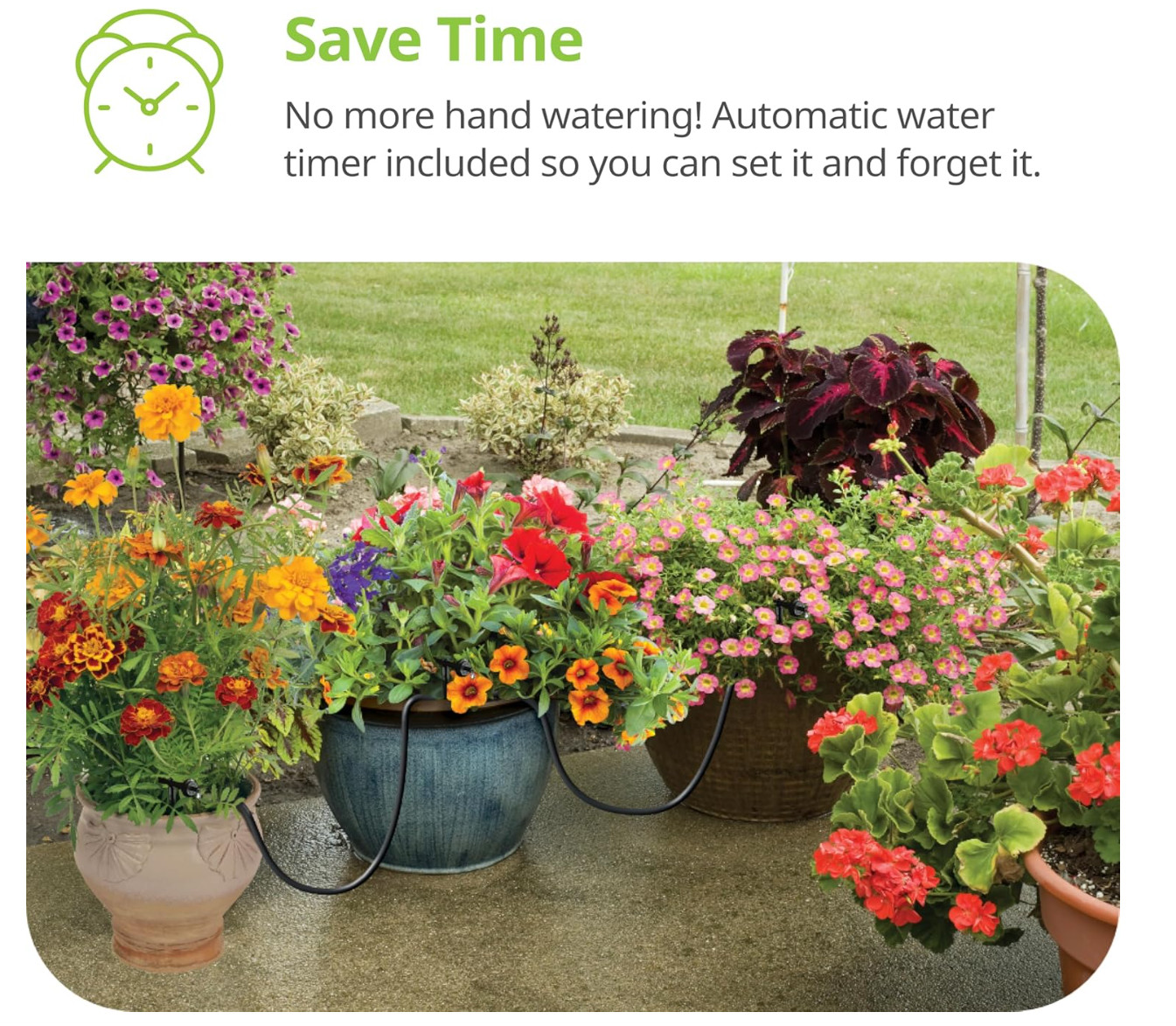 Raindrip R560DP Automatic Watering Kit for Container and Hanging Baskets, Water