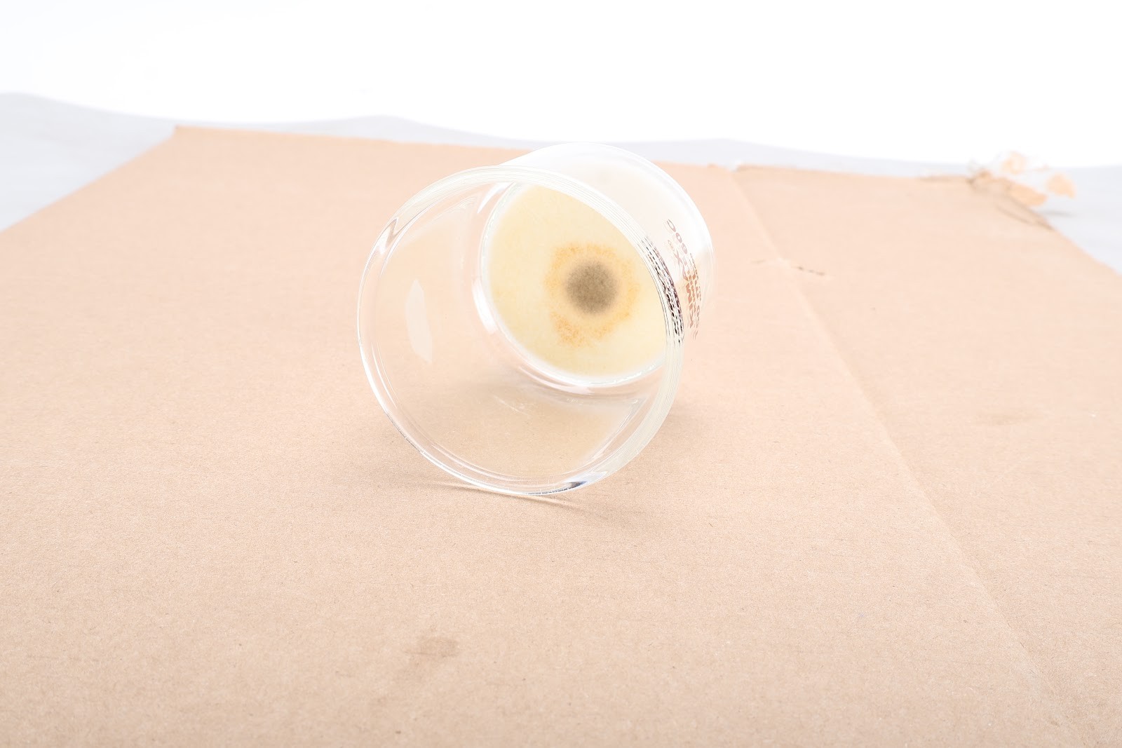 Kimble Kimax DWK-28400-1501 150mL Buchner Funnel 60C Course Fritted Disc
