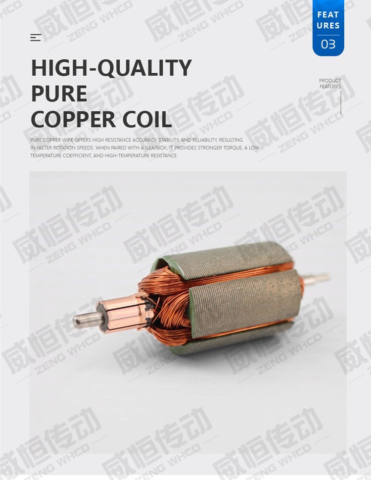 31ZY Permanent Magnet DC Carbon Brush Motor with High Speed ​​4000RPM~8000RPM