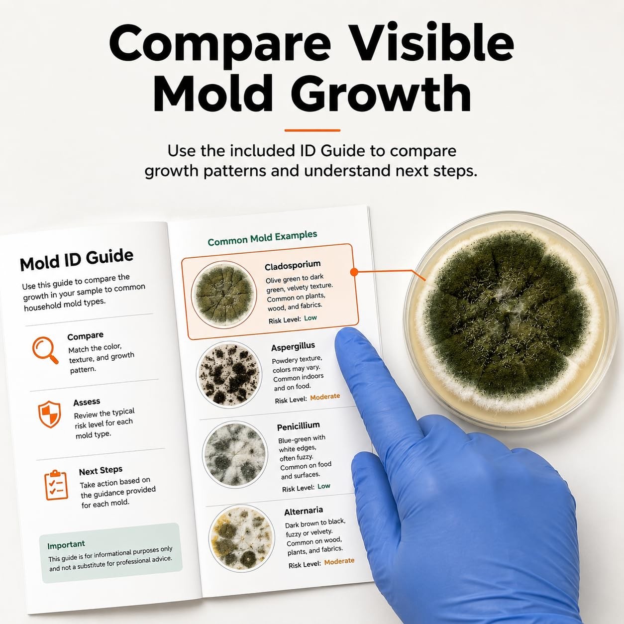 Mold Test Kit for Home Air Quality | Air Quality Test Kit & Black Mold Detect…