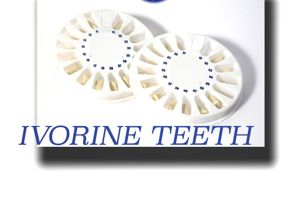 Replacement Teeth Typodont 860 (5 pack) Compatible With Columbia Brand