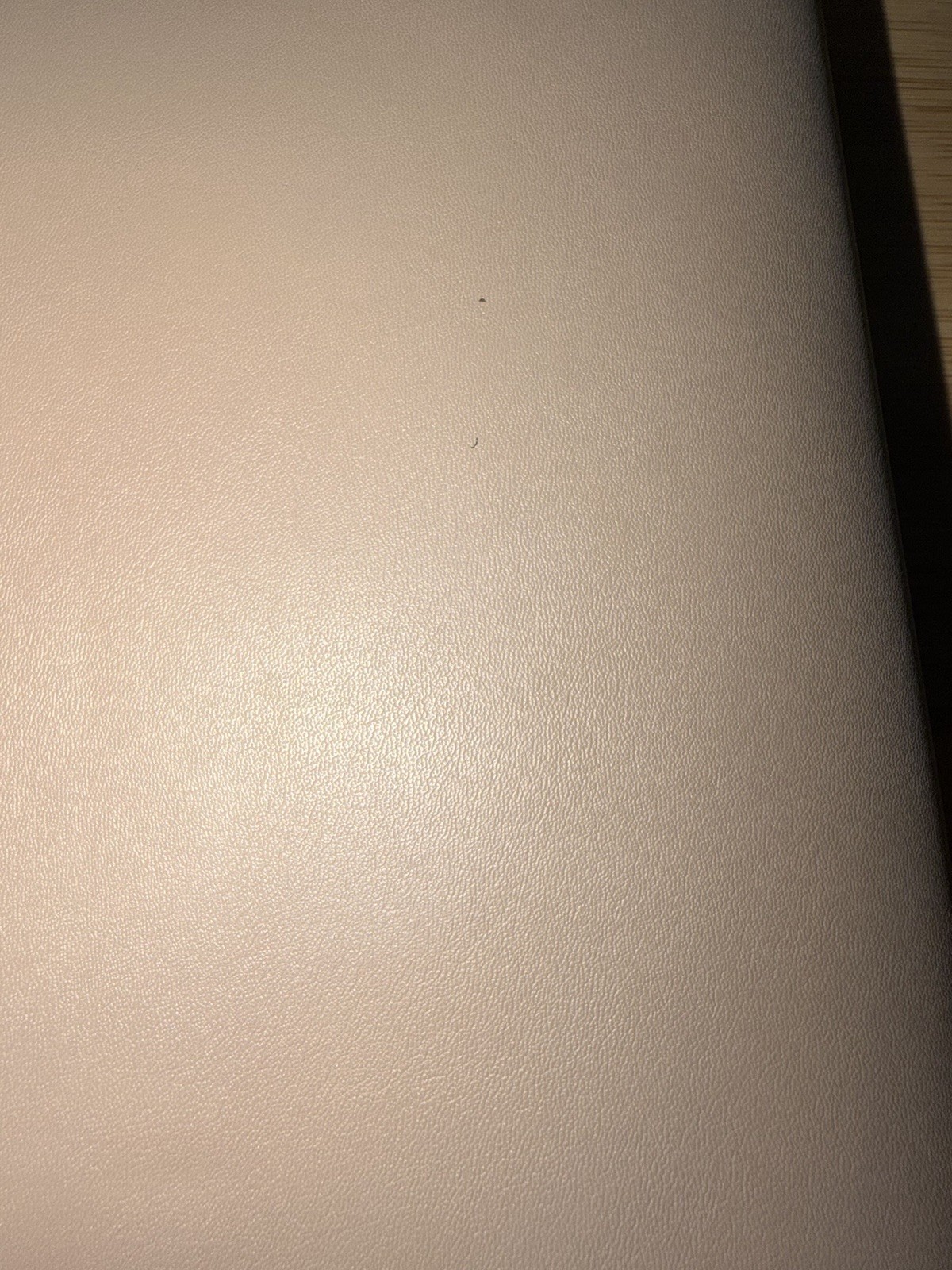 Have A Nice Day! Hobonichi A5 2024 Cover Only Cousin In Almond