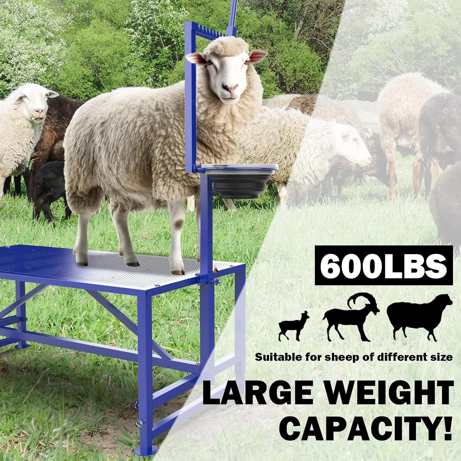 600 Lbs Goat Milking Stand with Feed Bin, Heavy Duty Goat Stand for Milking, Hoo