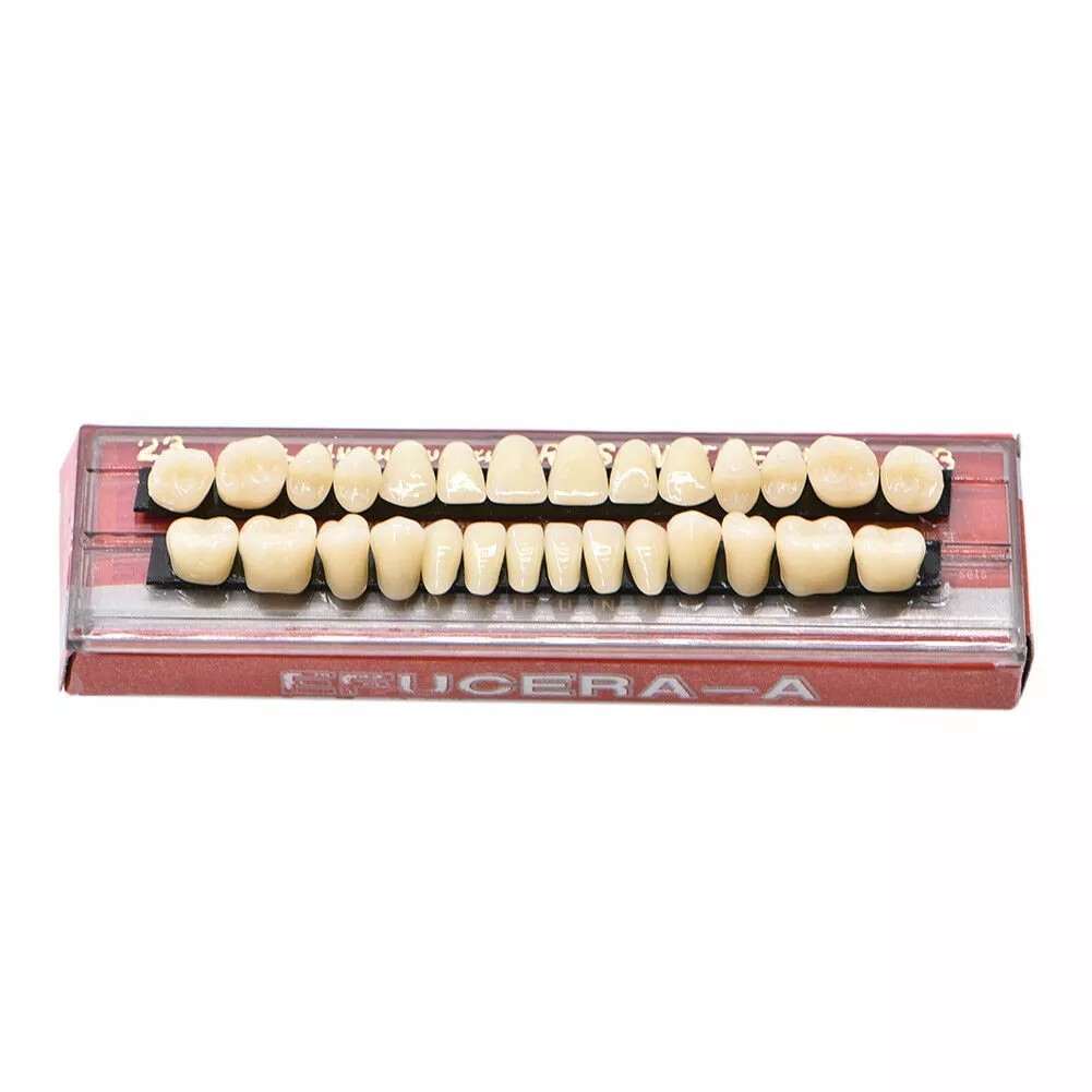 56 Pcs (A2+A3) False Teeth Dental Complete Acrylic Resin Denture Teeth #23 Shade