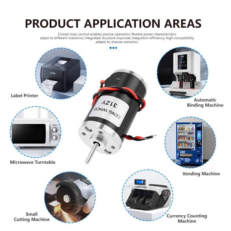 31ZY Permanent Magnet DC Carbon Brush Motor with High Speed ​​4000RPM~8000RPM