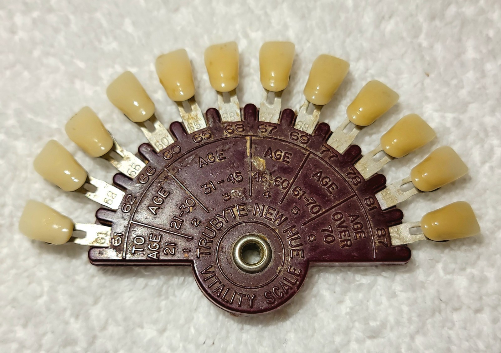 Vintage Dental True Bite NEW HUE Tooth 12 Shade/Color Match Guide -See Pictures!