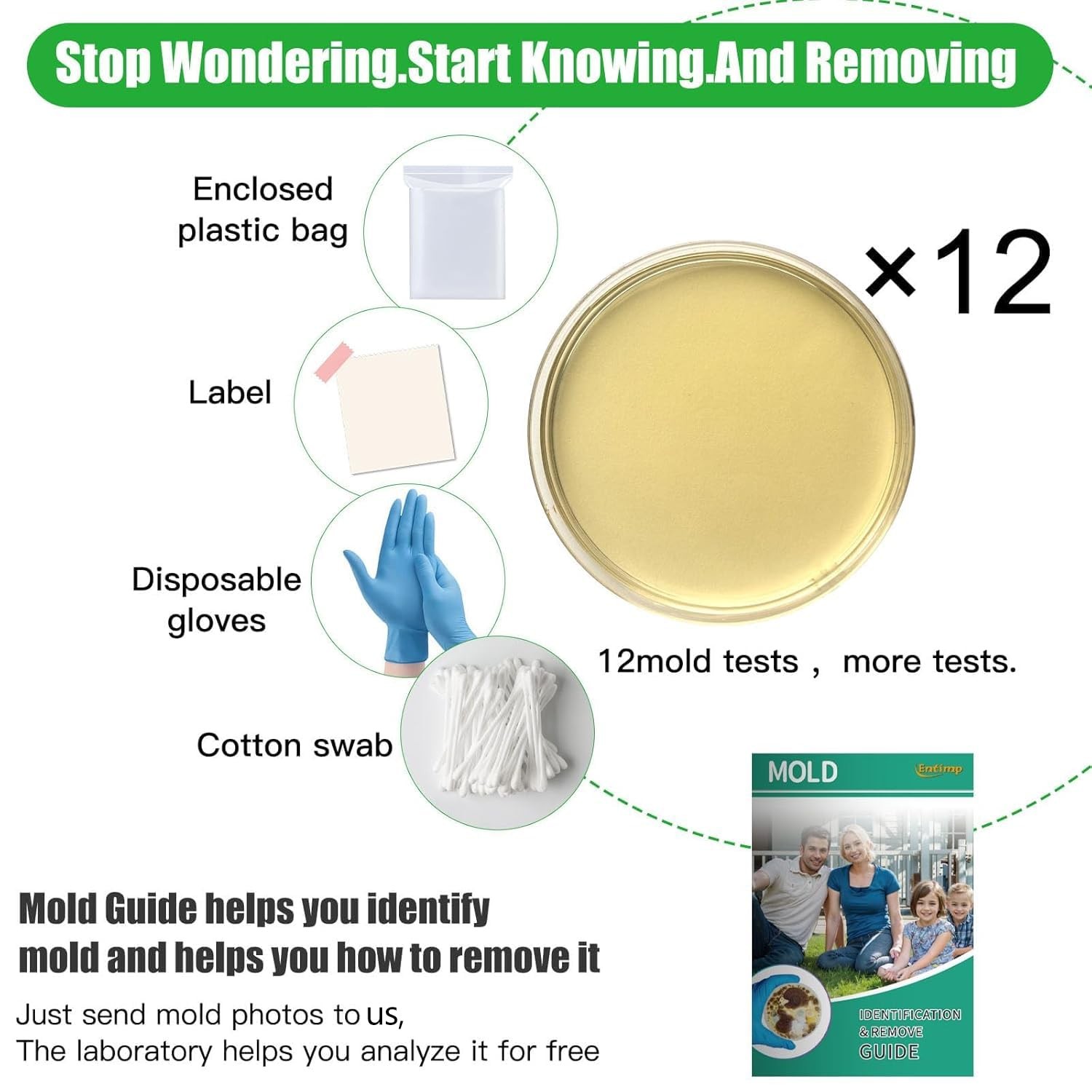 Mold Test Kit for Home Within 12 Individual Tests,DIY Detector at Home, Surf…