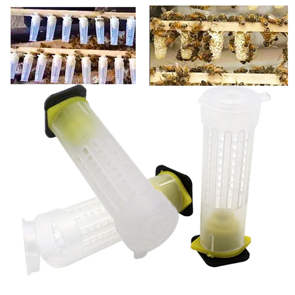 1 Set Bees Tools Cages King Queen Apicultura Kits Complete Nicot Cage Cups Cell.