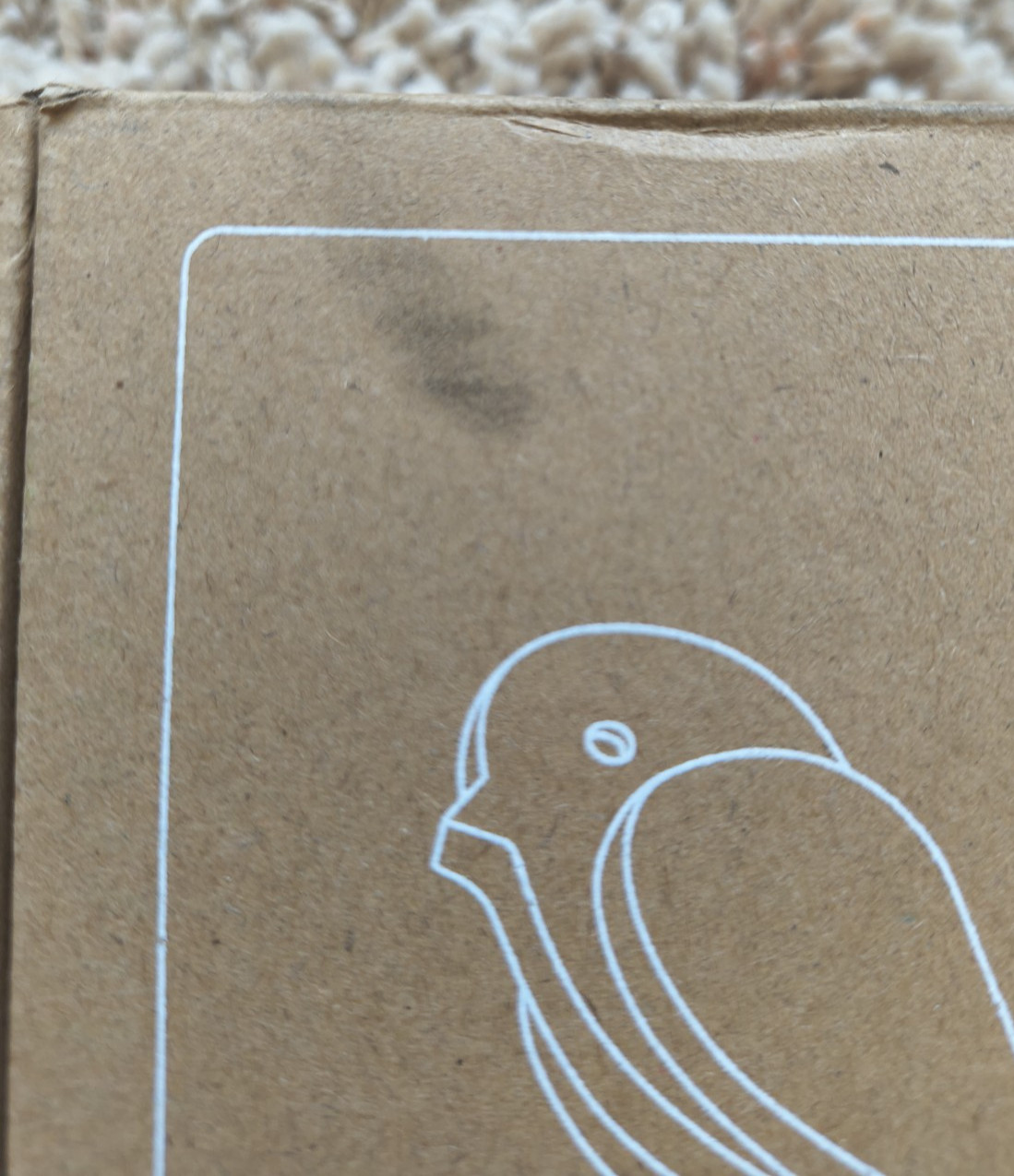 Birdie 2.0 Design Indoor CO2 Monitor Wood Denmark Designed House Burping NEW!