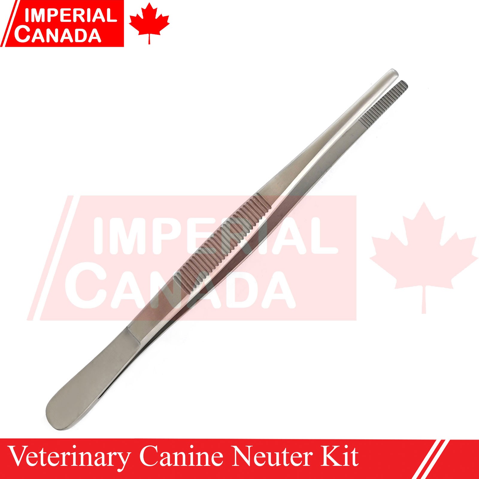 Feline Spay Pack Kit Contain Basic Surgery Instruments Set Surgical Econ DS-2240