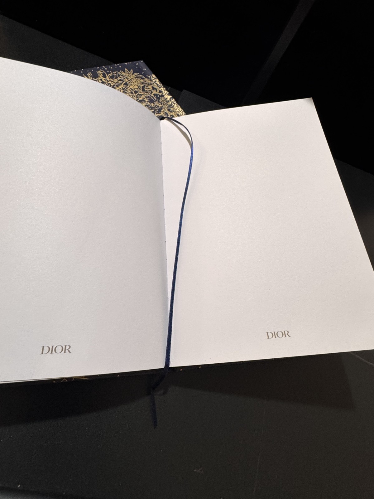 Christian Dior Novelty Notebook Blue Gold Limited Coffee Table Book NEW