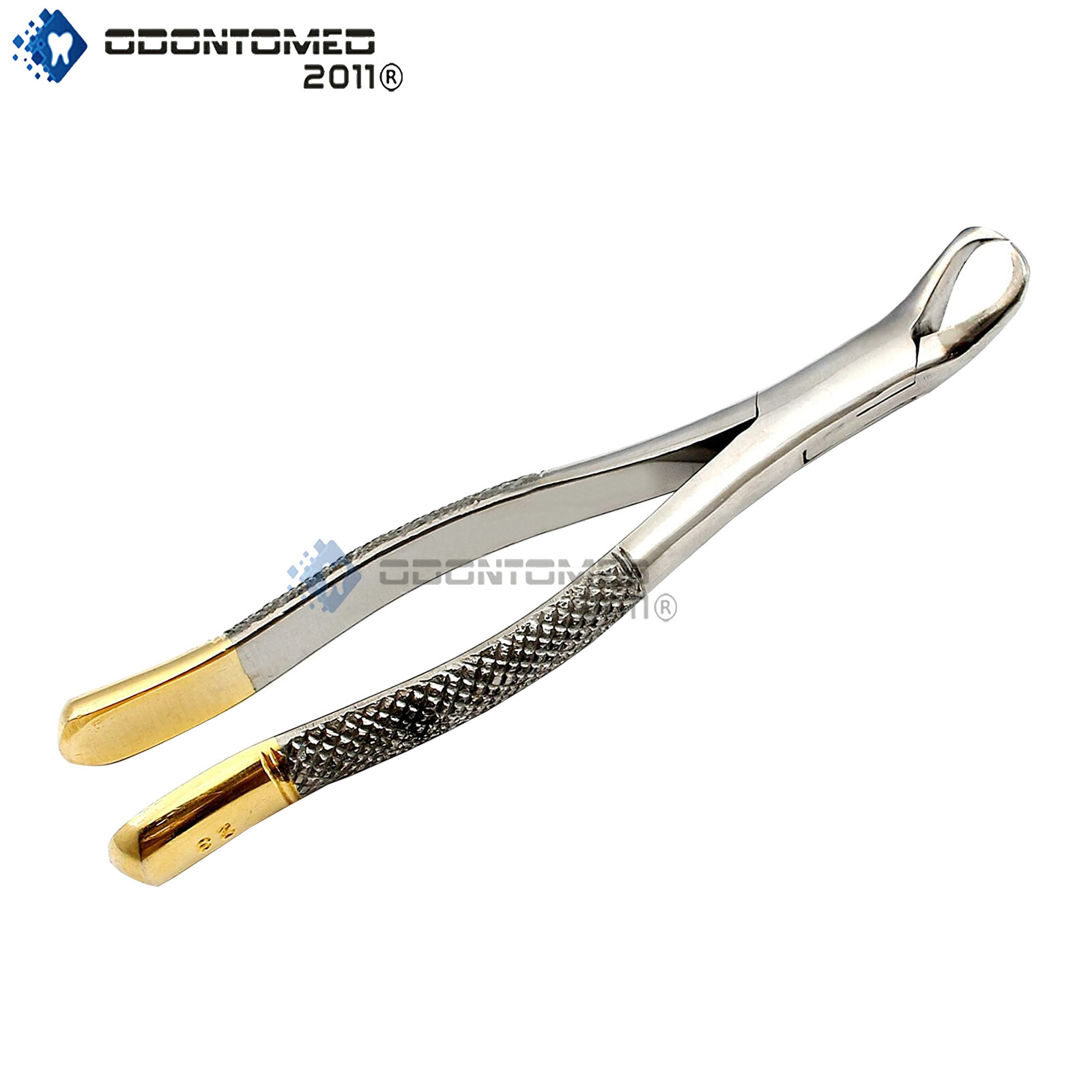 Premium German Dental Tooth Gold Handle Extracting Forceps # 23 Cow Horn