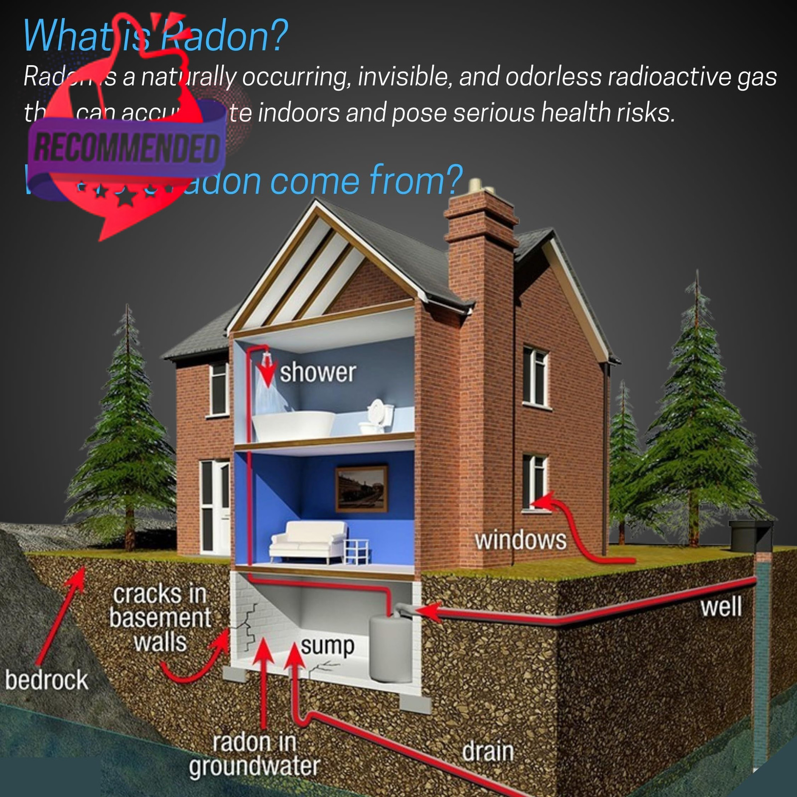 Safety Siren Pro4 Plug-in Radon Detector, Continuous Radon Gas Monitoring With