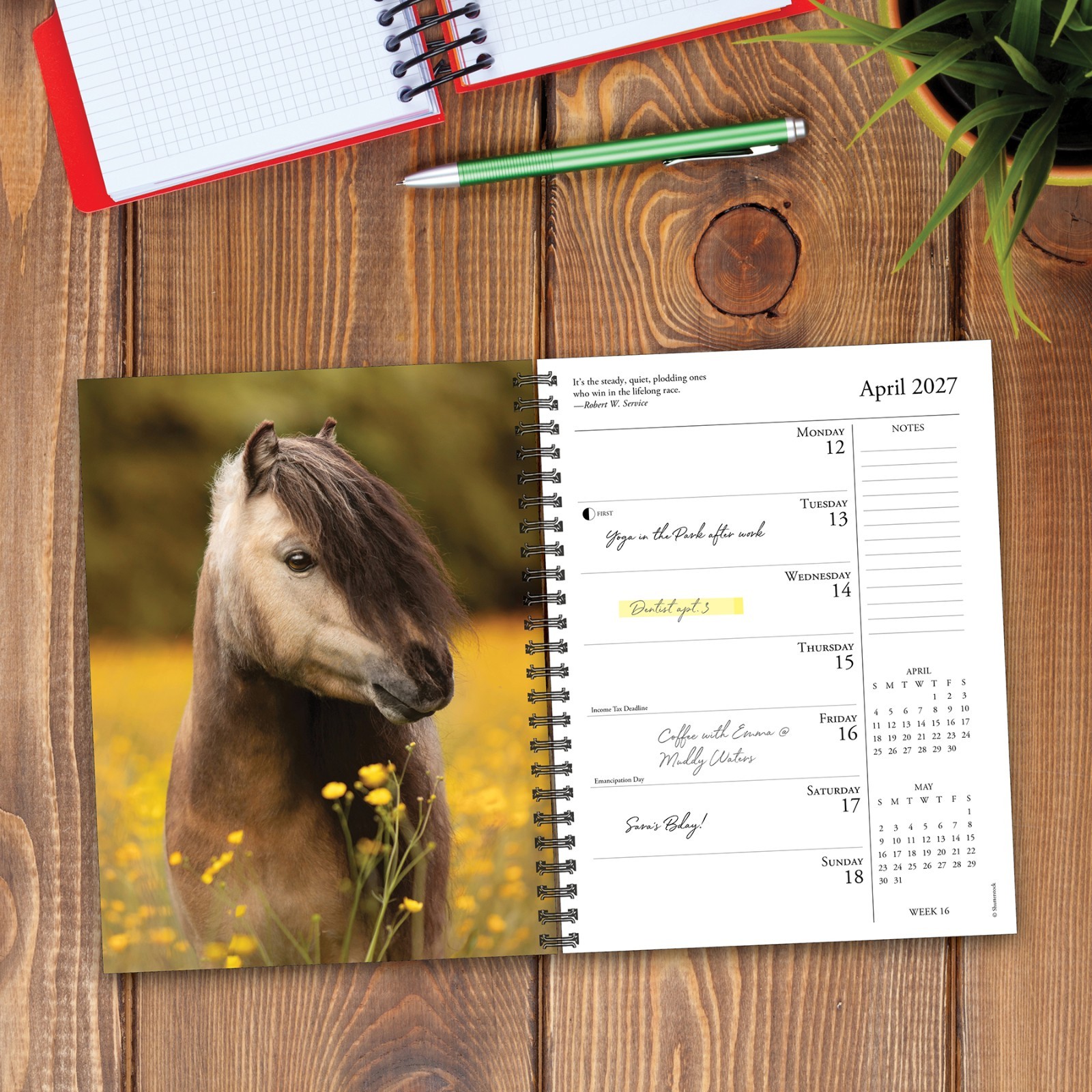 What Horses Teach Us 2027 6.5″ x 8.5″ Engagement Calendar