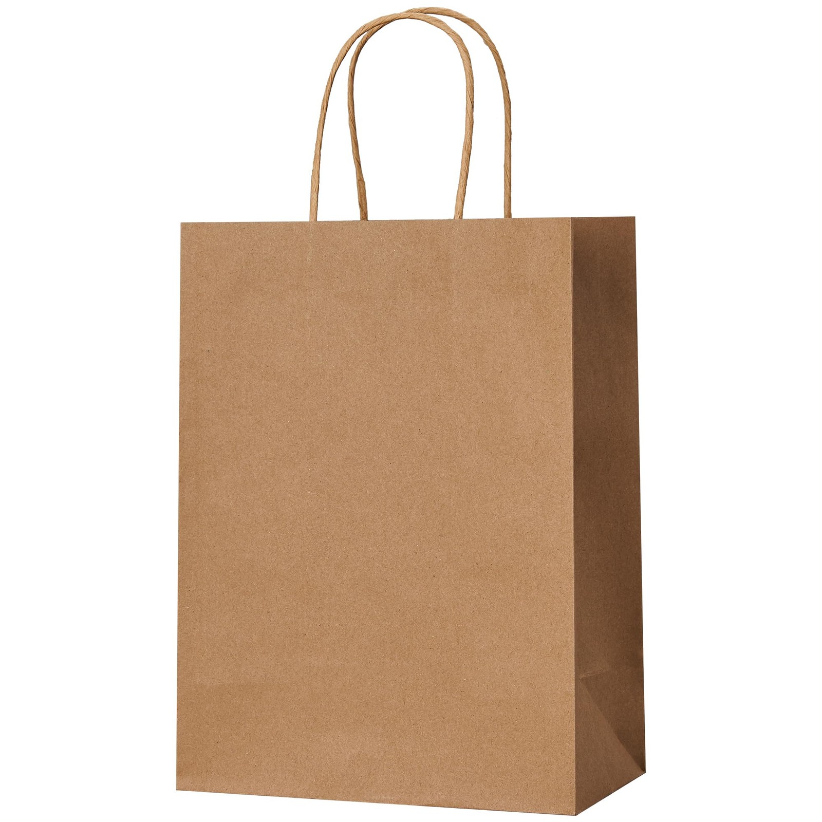 METAPRINT Brown Paper Gift Bags with Handles in 1 count (Pack of 100),