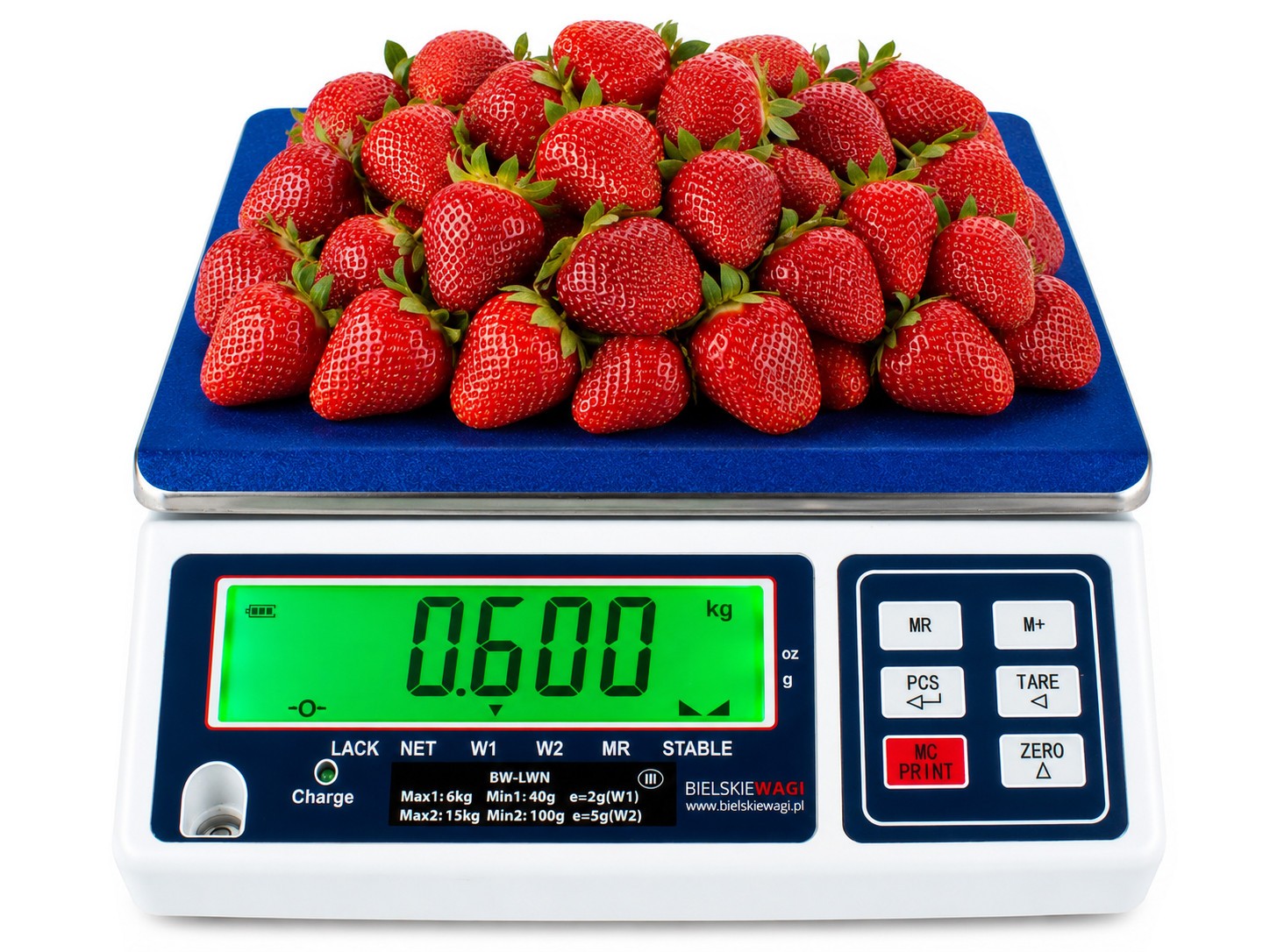 Sales Scales Checkweighers Scales Shop Scales Calibrated Ingredient Scales Market Scales