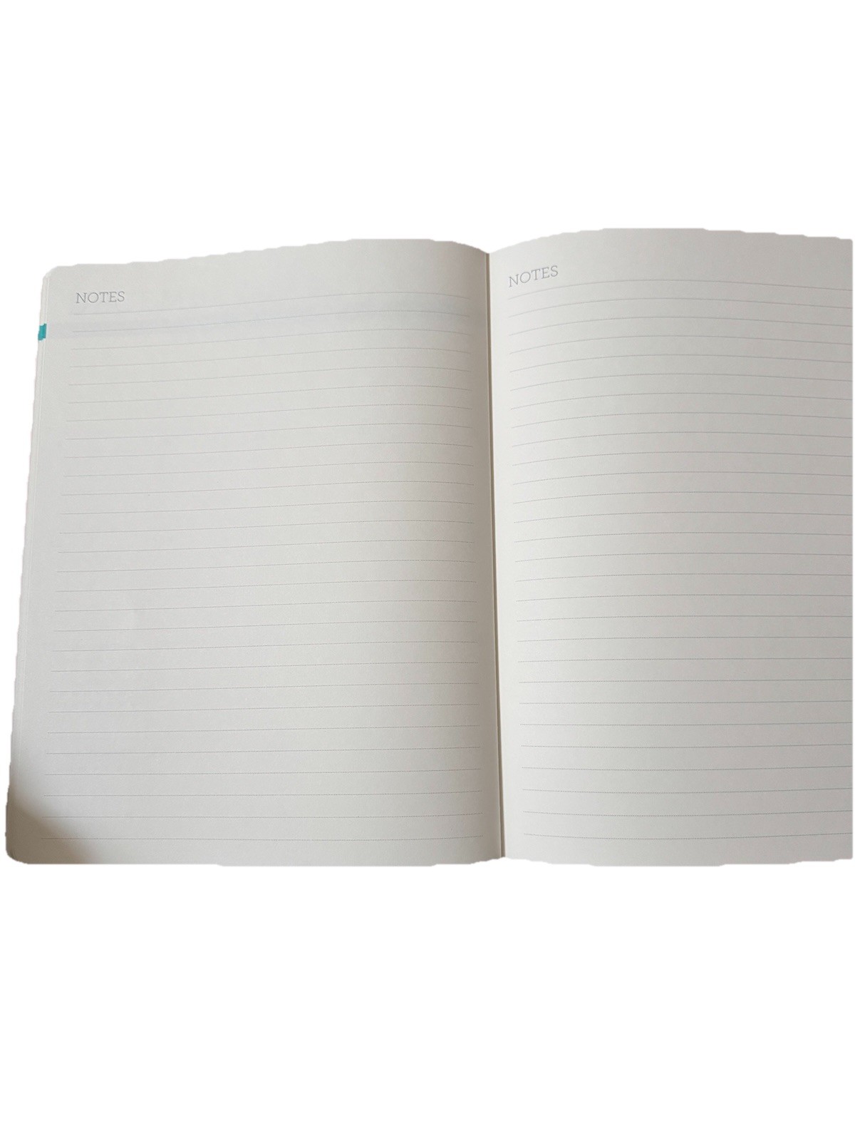 July 2026-Dec 2027 Planner 18 Mo. Planner Clementine Notebook Size Large Floral