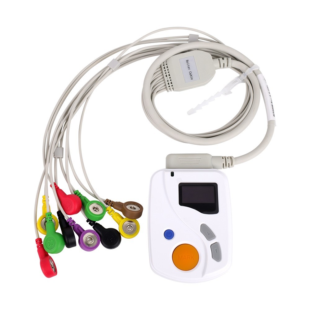 24 Hours Dynamic ECG Systems 12 Channel EKG Monitor ECG holter Recorder Software