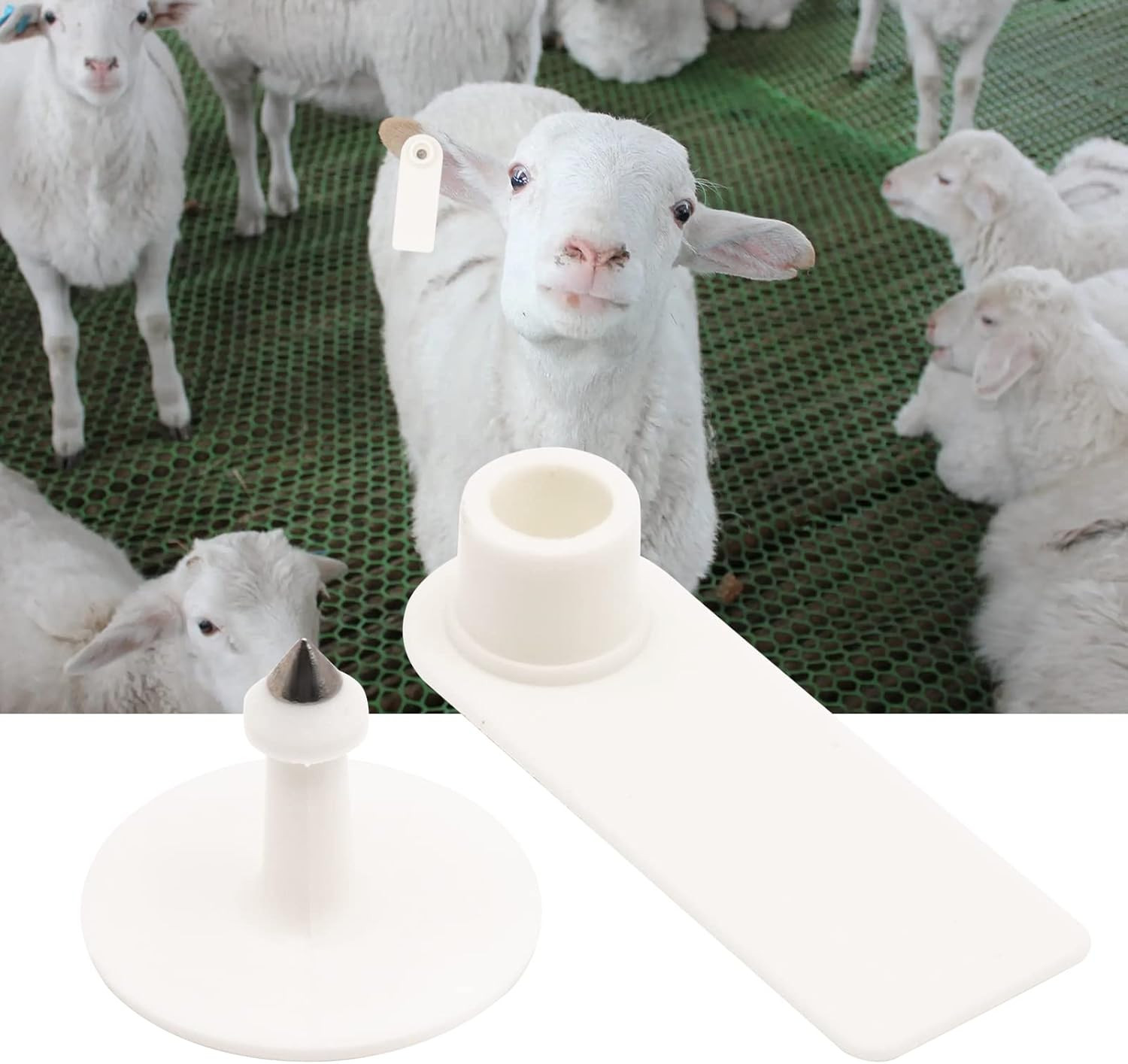 100 Blank Livestock Ear Tags for Goat, Sheep, Cattle, and Pigs (White)