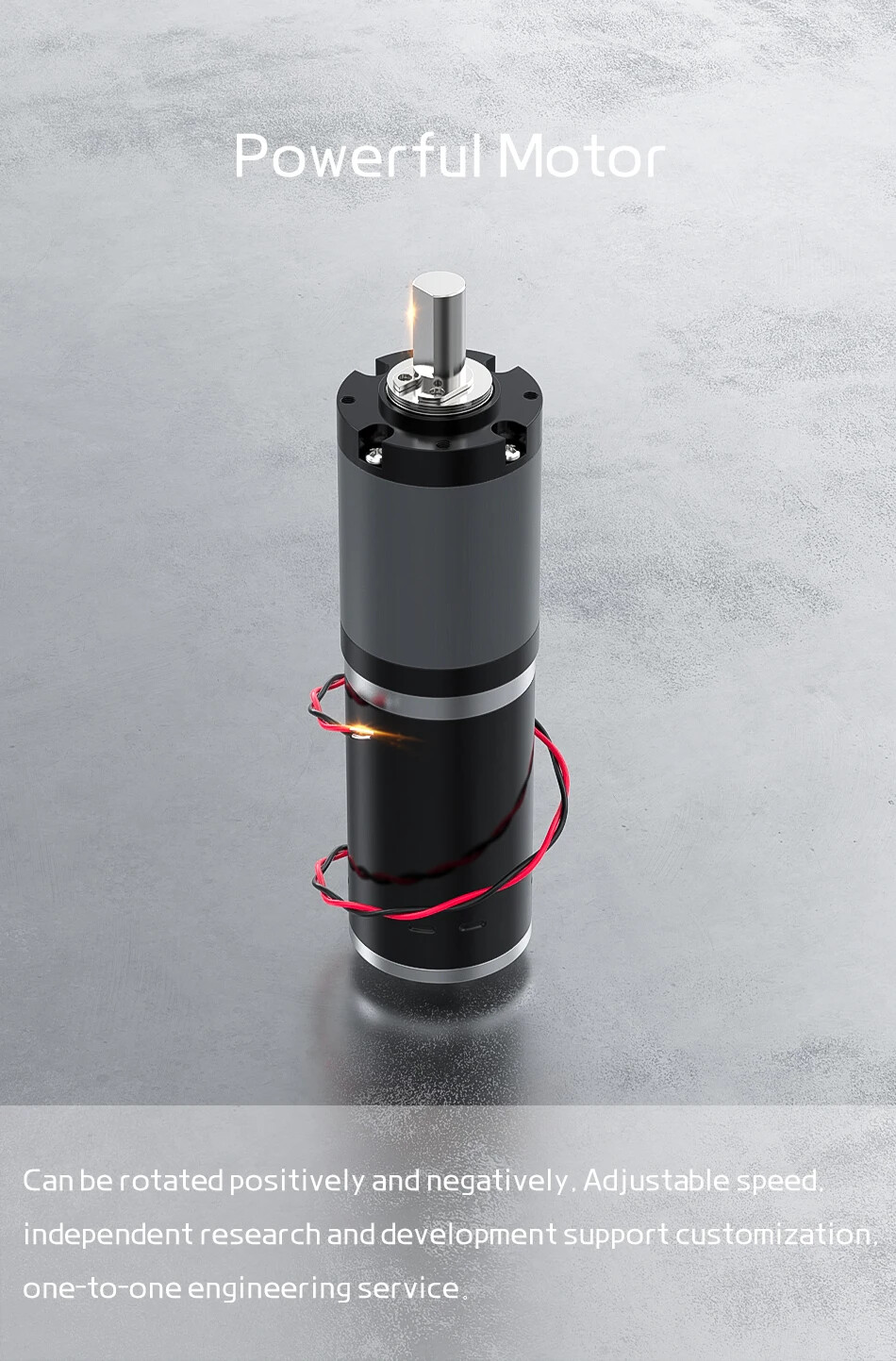 Planetary Gearbox Motor 12V 24V DC High Torque Low Speed Adjustable Miniature