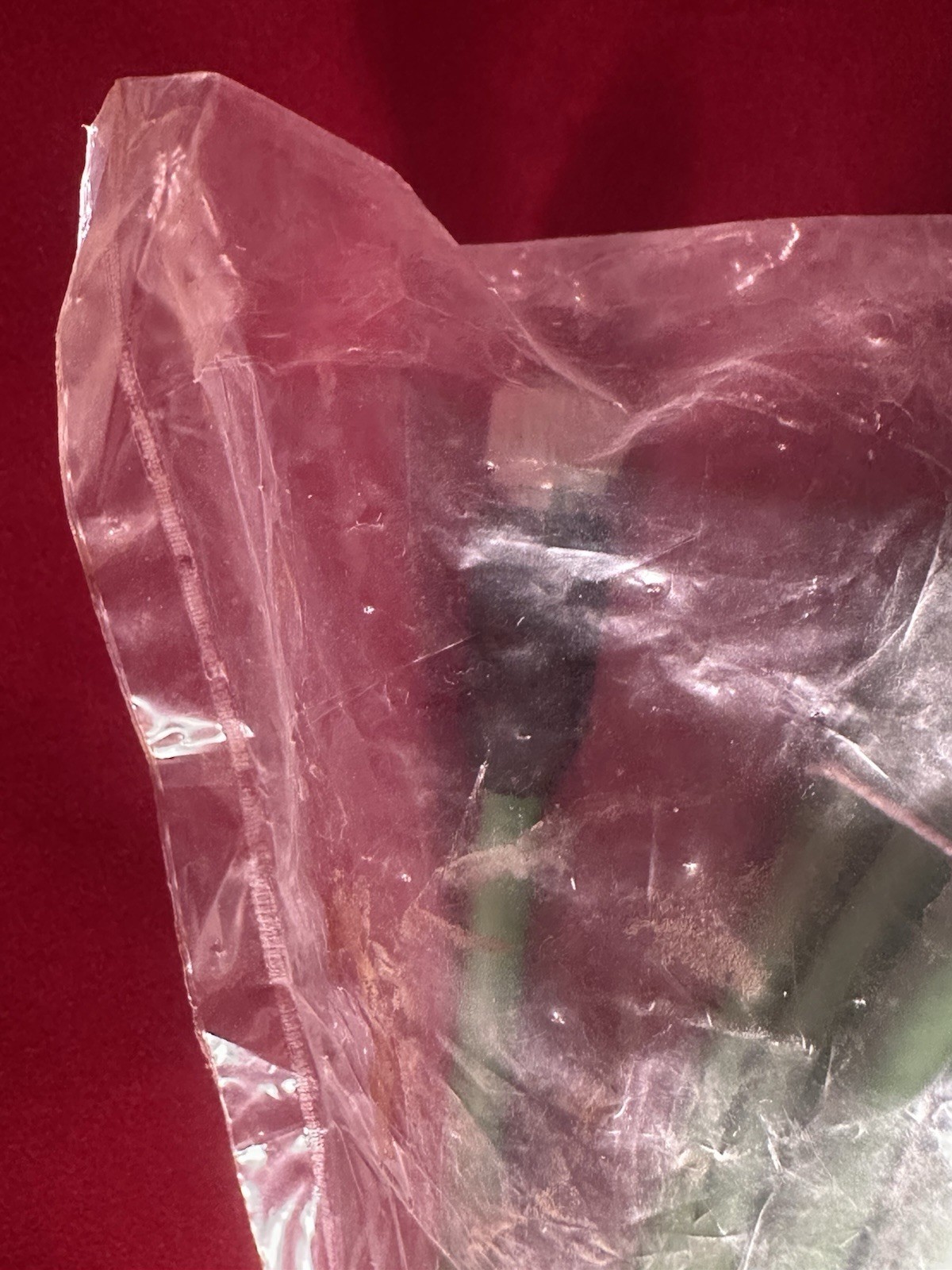 MURR ELEKTRONIK D-71570 Cable Robotic