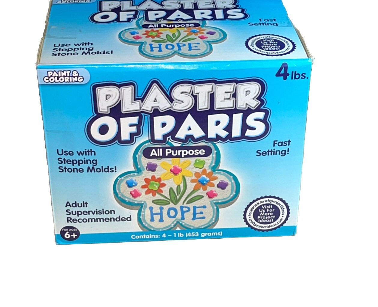 Plaster of Paris, ALL PURPOSE Sets In 20 To 30 Minutes – 4 Lbs Paint & Color