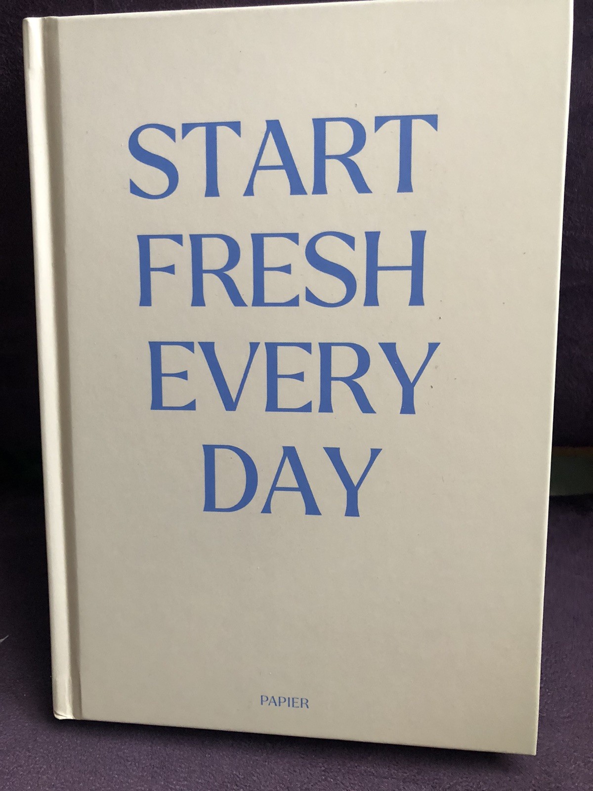 BRAND NEW PAPIER Blue & Cream Start Fresh Everyday 16 Week Productivity Planner