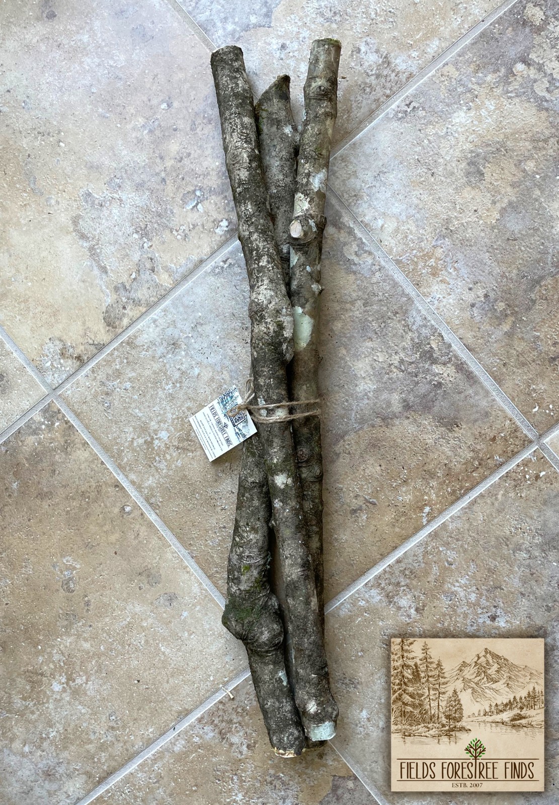 24″ NC Holly Tree Decorative Wood for Carving, Crafts, Wedding, Party Decor