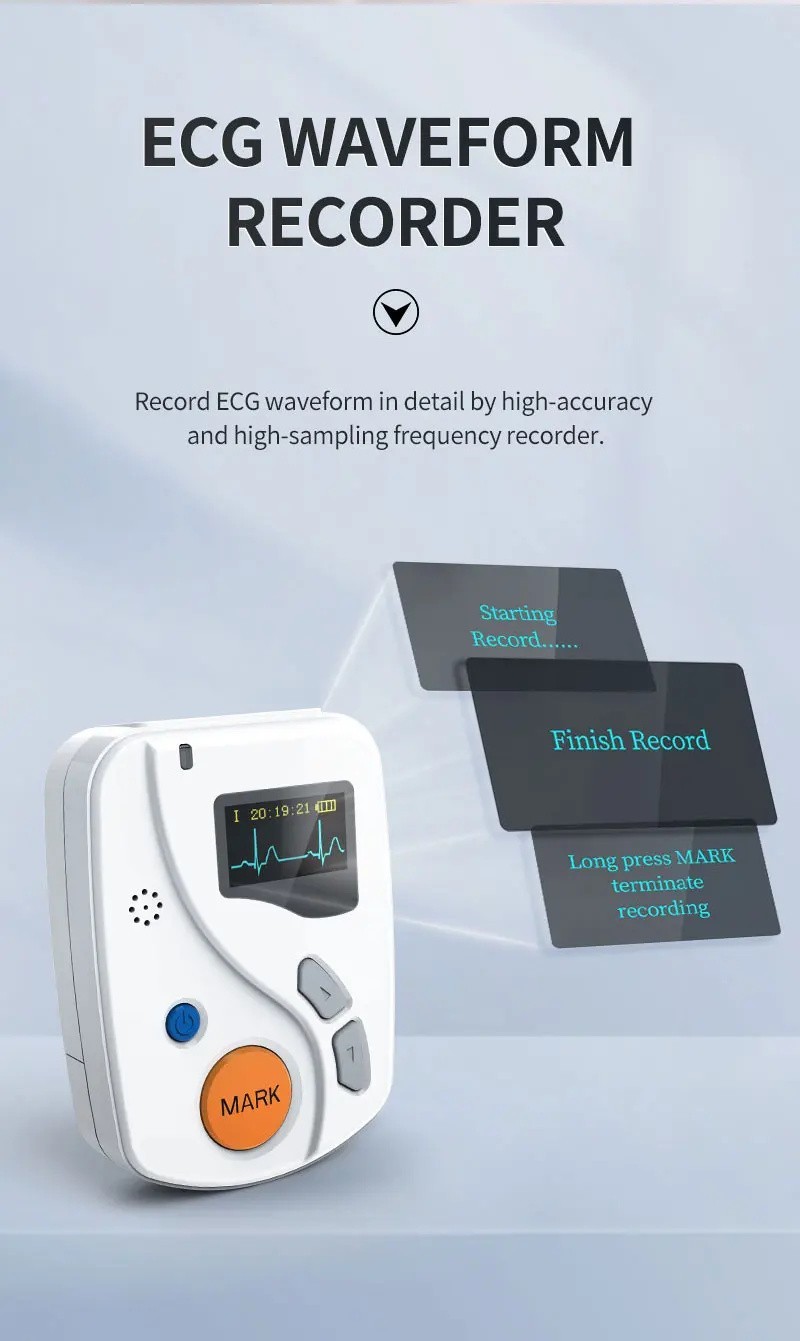 24 Hours Dynamic ECG Systems 12 Channel EKG Monitor ECG holter Recorder Software