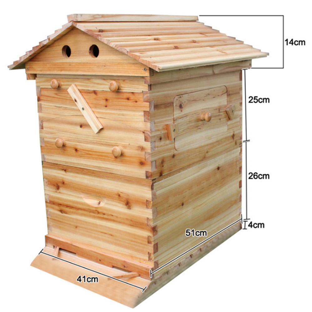 Auto Drain Honey Bee Hive Bee Boxes Beehive Starter Kit +7 Beekeeping Frames New