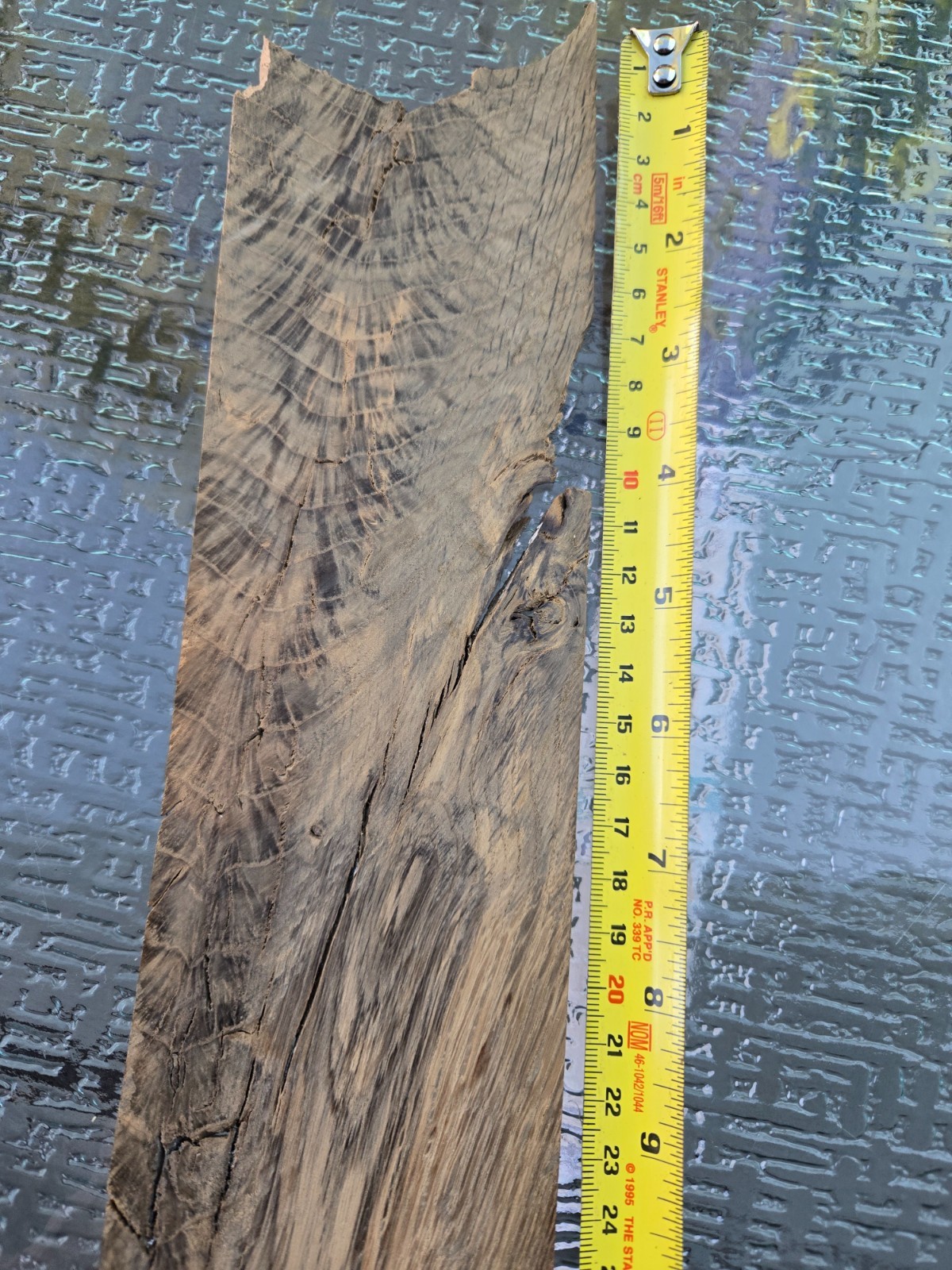 Rare Crotch Walnut Veneer Sheet 16″x3″ Feather Figure Luthier Woodworking
