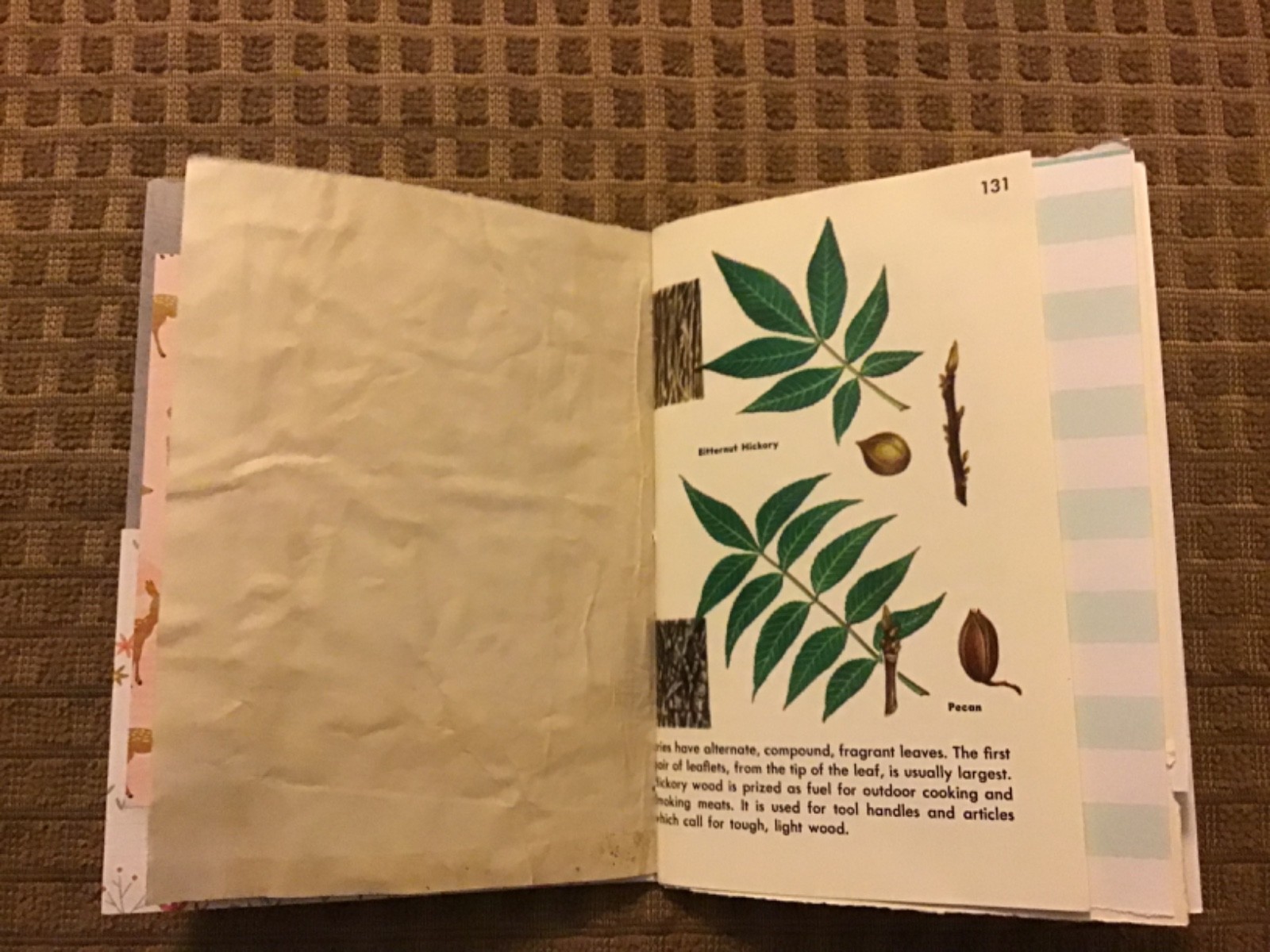Handmade Naked Junk Journal 6” x 4.5” Mushroom Print Card Stock Cover