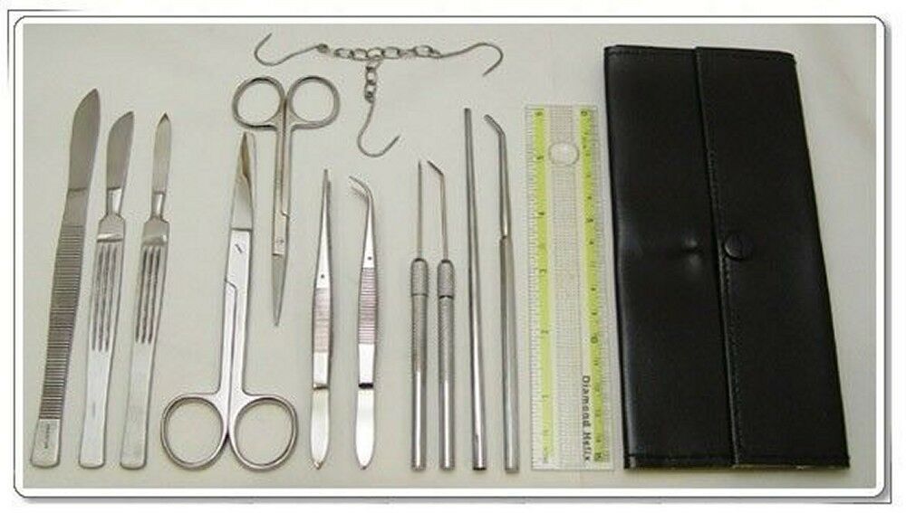 Student Dissecting Instrument Kit Stainless Steel German Grade