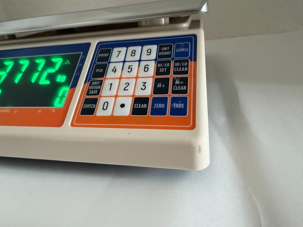 Bonvoisin Industrial Counting Scale 30kg x 1g Digital Parts Coin Weighing Scale