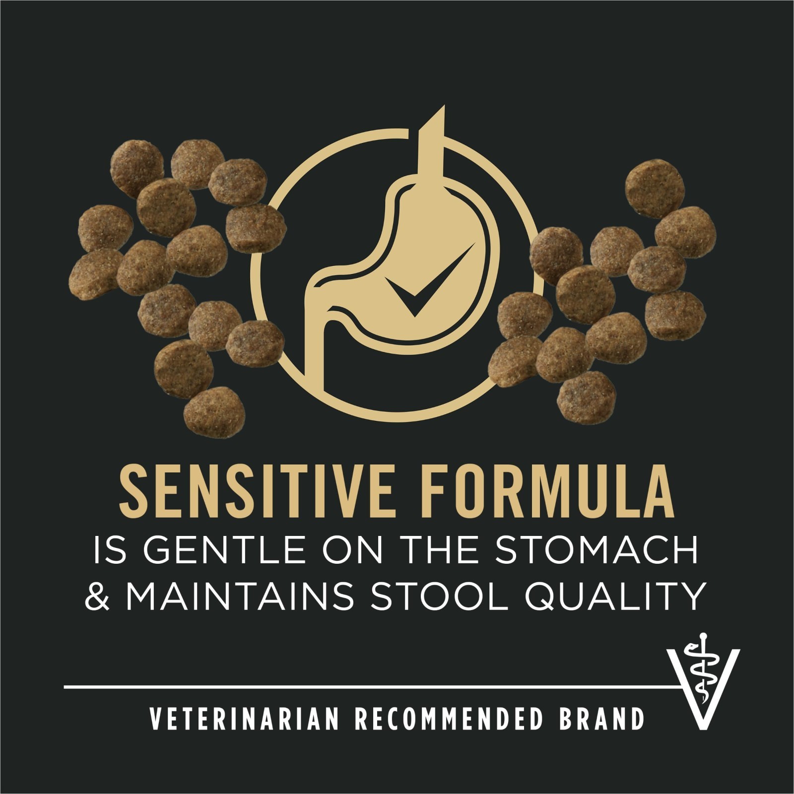 Purina Pro Plan Sensitive Skin and Stomach Large Breed Puppy Food Salmon, 24 lb