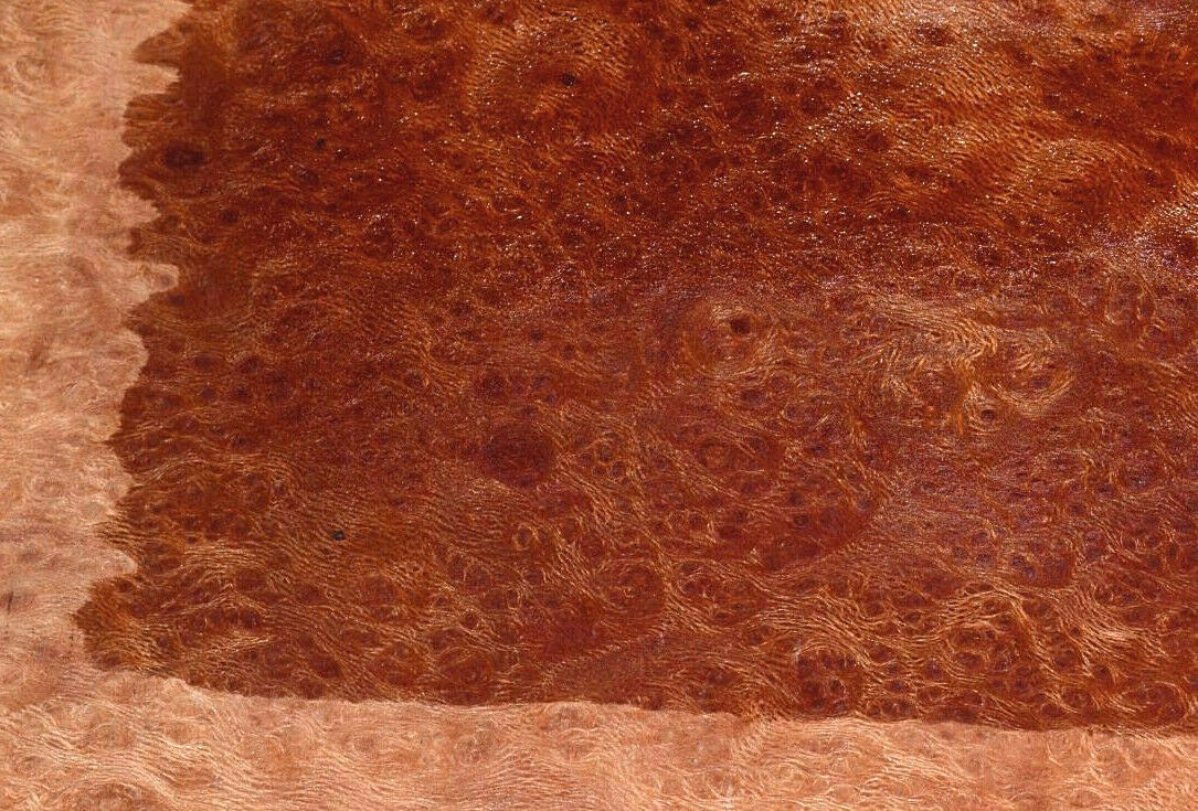 Planetree Burl Raw Wood Veneer Sheets 8 x 10 inches 1/42nd IFPa7368-37