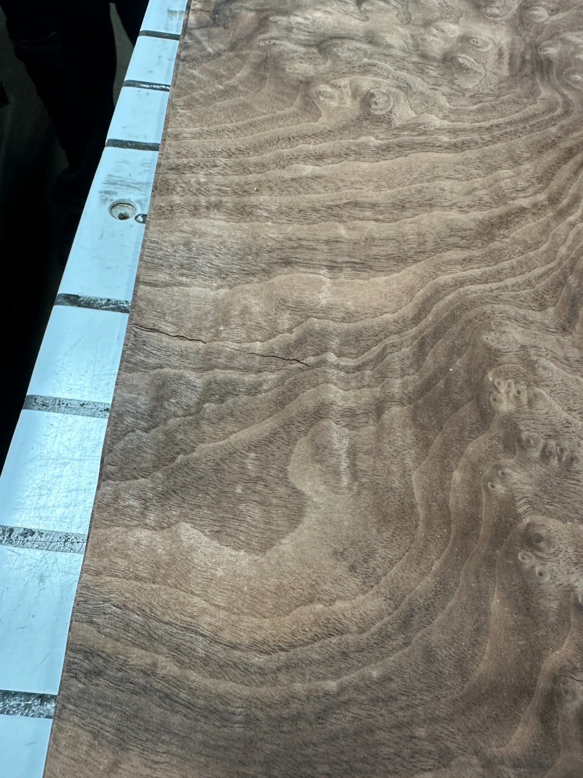 Walnut Burl Raw Wood Veneer 2 sheets 50″ x 18″ 522E