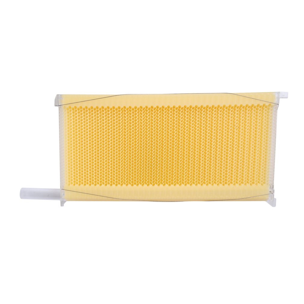 7pcs Auto Oozing Hive Beehives Beekeeping Frames for Brood Beekeeping Box House