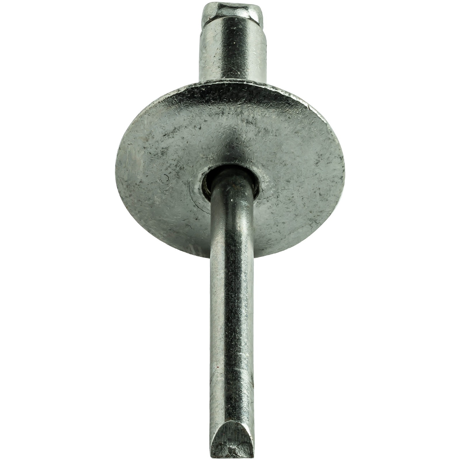 Large Flange Stainless Steel Pop Rivets Dome Head Blind Every Size and Length