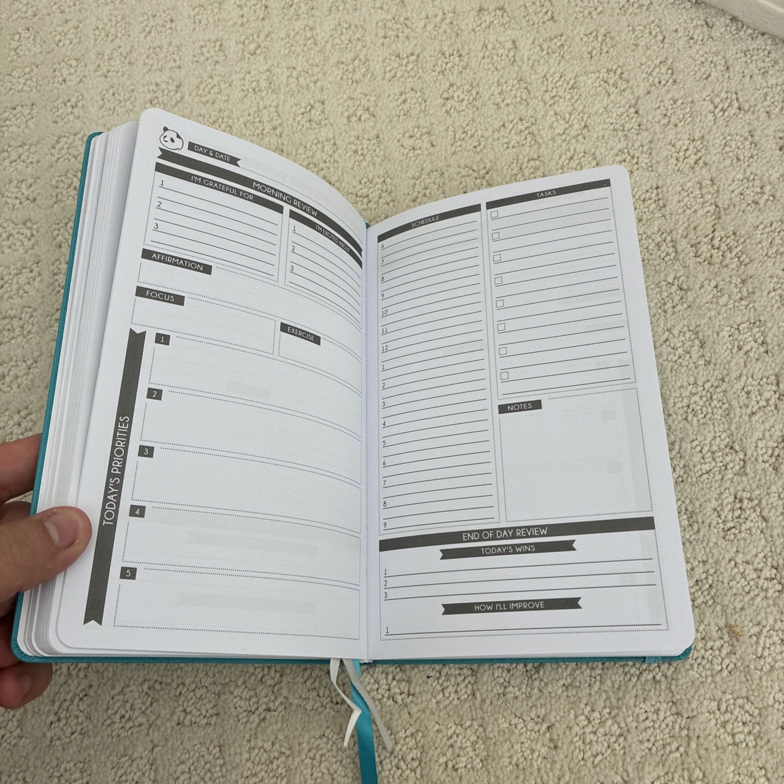 Panda Planner Undated Daily Planner Daily, Weekly, Monthly Teal Hardcover