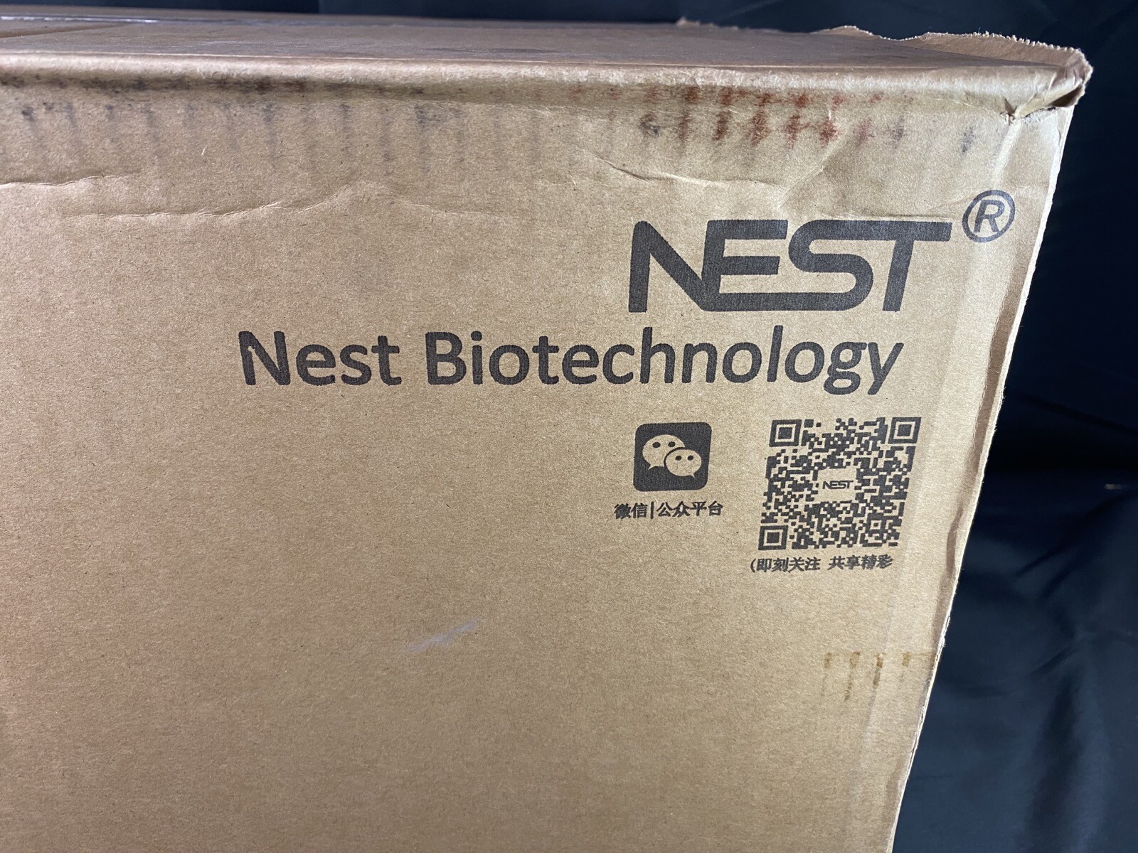 NEST 25cm² Plug Seal Canted Neck TC Treated Sterile Cell Culture Flasks (200/Cs)